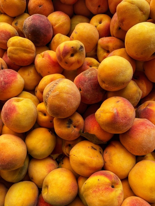 Comment vivre une expérience de pêche en haute mer en Floride avec des pêcheurs locaux ?